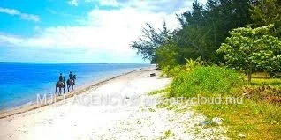 Agricultural land - 6450 m² Surinam, South