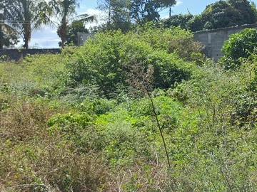 Residential Land