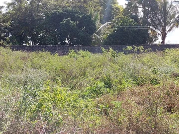 Residential Land