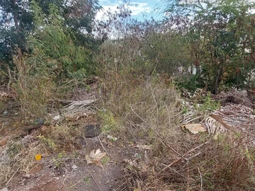 Residential Land