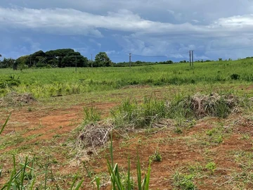 Terrain Agricole