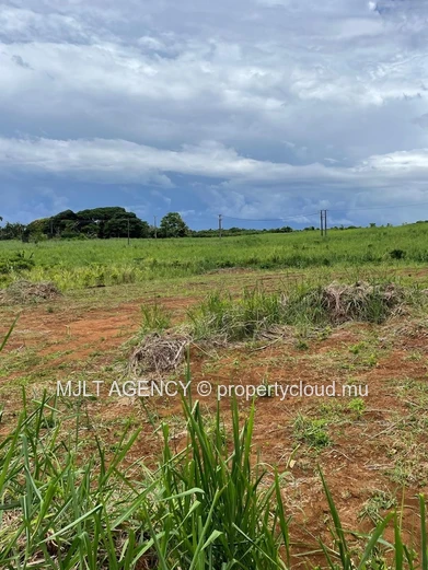 Agricultural land - 7750 m² Surinam - South  La Martinière