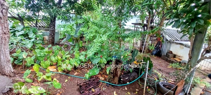 Spacious 4  Bed Room, Home in Beau Bassin - with Lush Garden Oasis