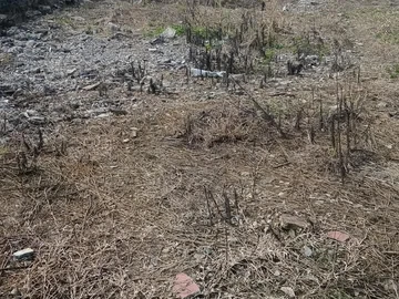 Residential Land