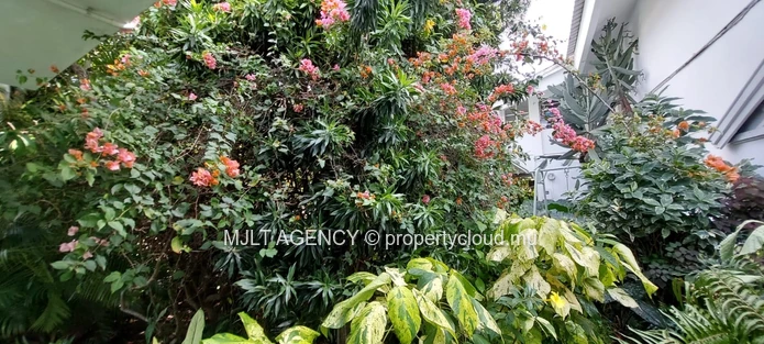 Furnished 1BR Garden Home in Beau Bassin at Balfour – Pet Friendly & AC