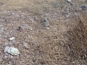 Residential Land