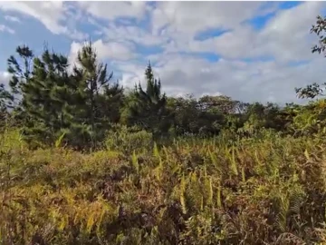 Residential Land
