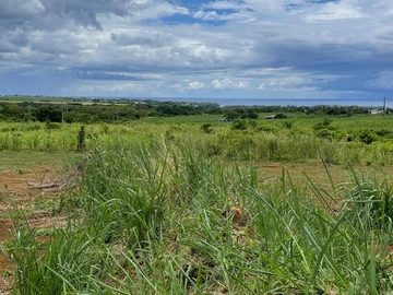 Terrain Agricole