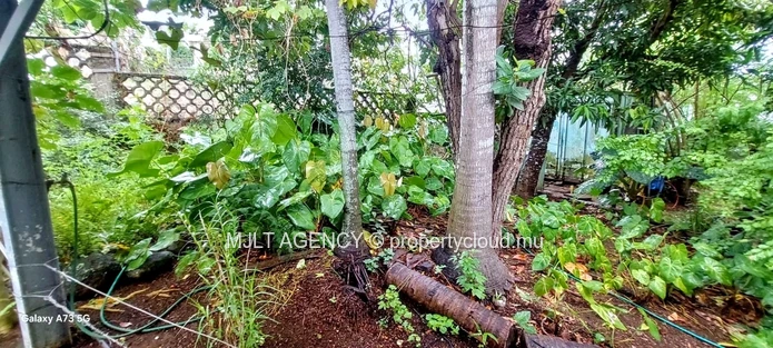 Spacious 4  Bed Room, Home in Beau Bassin - with Lush Garden Oasis