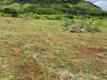 Terrain Agricole