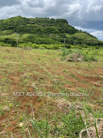 Agricultural land - 7750 m² Surinam - South  La Martinière