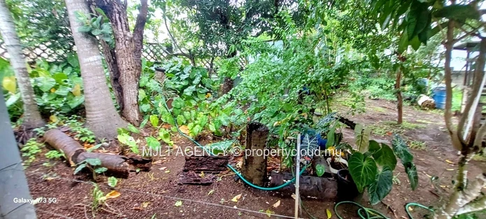 Spacious 4  Bed Room, Home in Beau Bassin - with Lush Garden Oasis