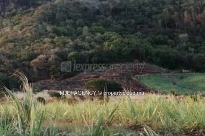 Agricultural land - 6450 m² Surinam, South