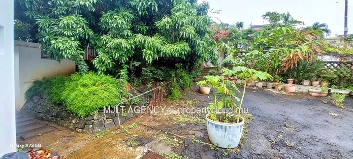 Spacious 4  Bed Room, Home in Beau Bassin - with Lush Garden Oasis