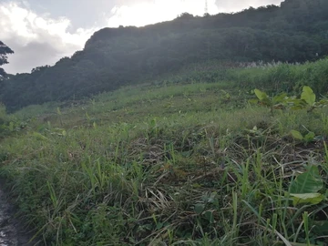 Agricultural Land