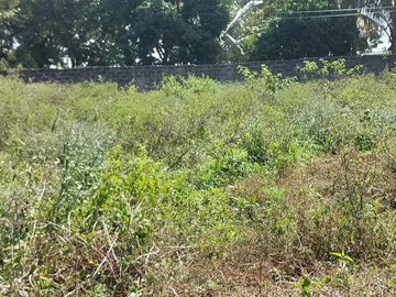 Residential Land
