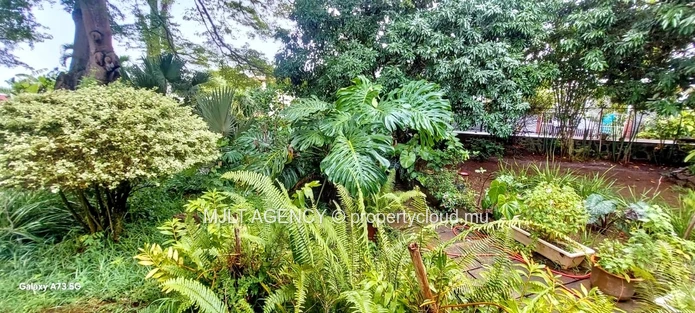 Spacious 4  Bed Room, Home in Beau Bassin - with Lush Garden Oasis