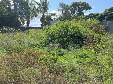 Residential Land